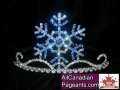 Snowflake 2010